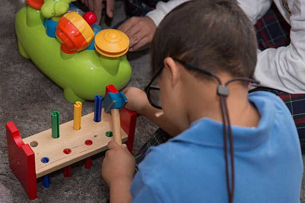Toy, Tool & Book Lending